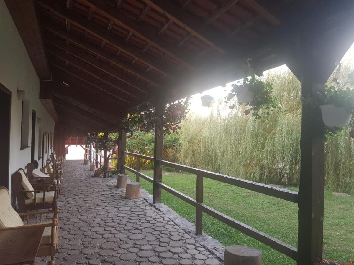 Vila Sura Razoare Sighişoara Exterior foto