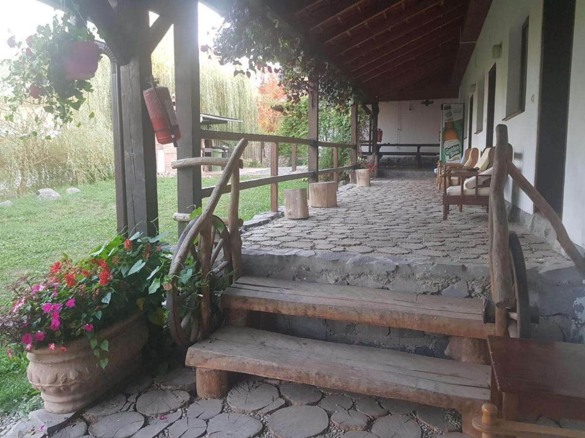 Vila Sura Razoare Sighişoara Exterior foto
